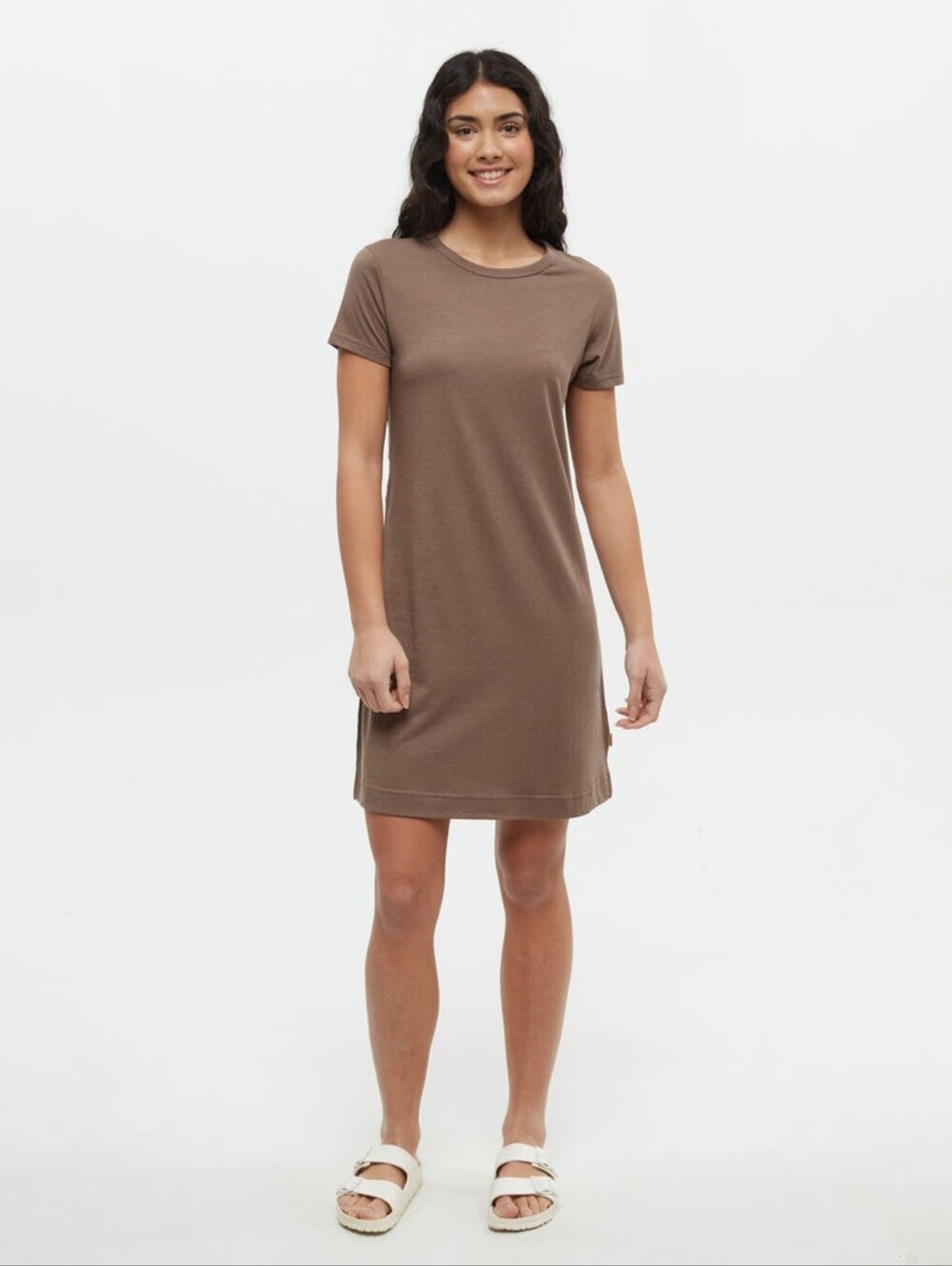 NWT Women's Tentree Birchwood TreeBlend T-Shirt Dress Small